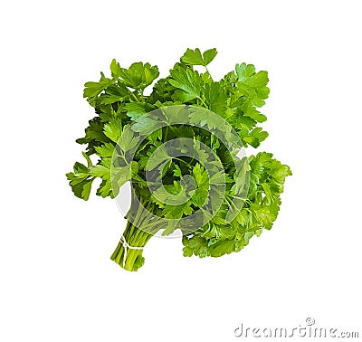 Parsley bunches on white background Stock Photo