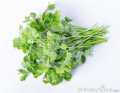 Parsley Stock Photo