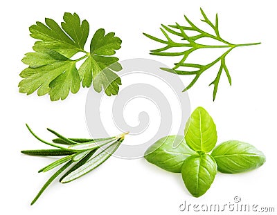 Parsley herb, basil leaves, dill, rosemary spice Stock Photo