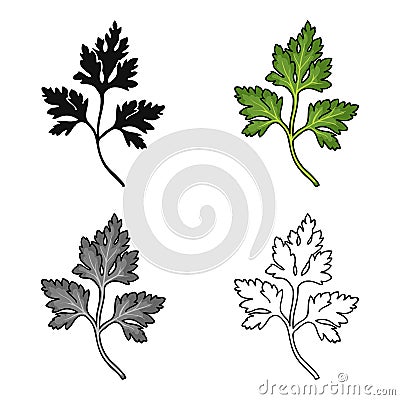 Parsley icon in cartoon style isolated on white background. Herb an spices symbol stock vector illustration. Vector Illustration