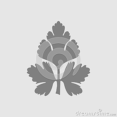 parsley icon Vector Illustration