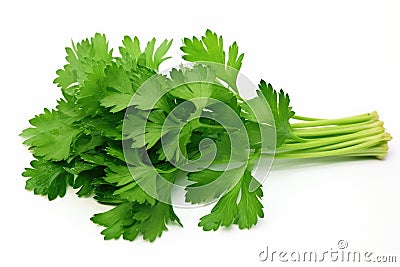 Parsley isolated on white background Stock Photo