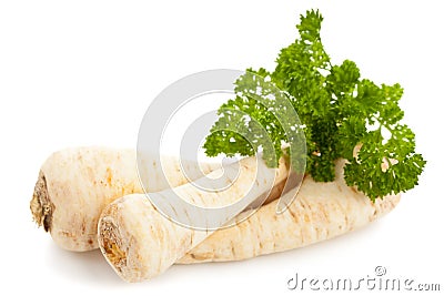 Parsley root Stock Photo