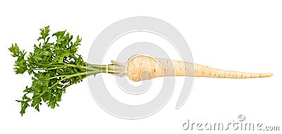 Parsley root Stock Photo