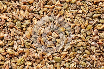 Parsley seeds close up. Natural warm toned texture Stock Photo