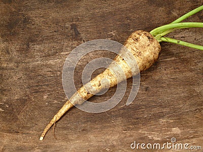 Parsnip Stock Photo