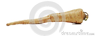 Parsnip root Stock Photo