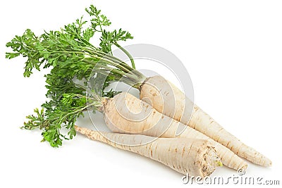 Parsnip root with leaf Stock Photo