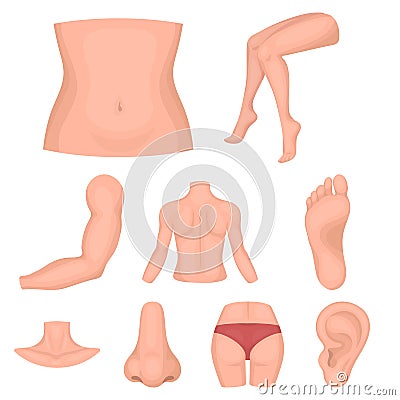 Part of body set icons in cartoon style. Vector Illustration