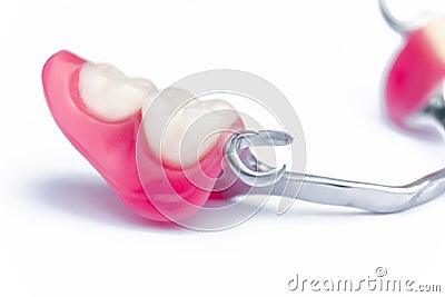 Part of clasp prosthesis in focus. fixation clamer. false teeth on the lower jaw. removable denture for the lower jaw Stock Photo