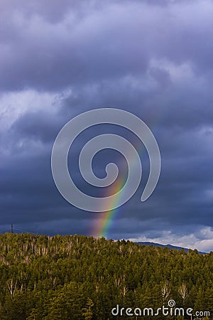 Part of colored rainbow on dark thunder clouds with green forest mountain background. vertical view. Stock Photo