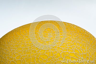 Part of golden cantalope on white background in narrow focus and bury some part of surface of it Stock Photo