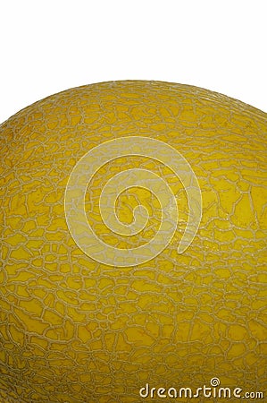 Part of golden cantalope on white background in narrow focus and bury some part of surface of it Stock Photo