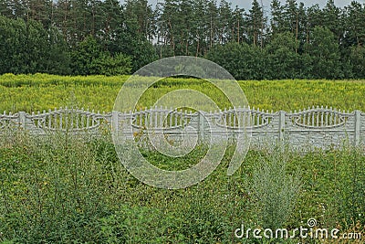 Part gray concrete fence wall in green vegetation Stock Photo