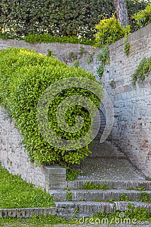 Part of a medieval garden situated to Fano Italy Stock Photo