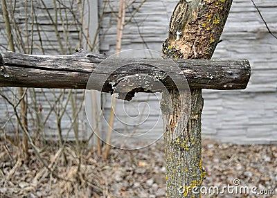 Part of an old, dry, rotten, unpainted wooden fence fastened with a nail against the background of a concrete fence Stock Photo