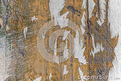 Part of an old wall with layers of yellow paint and pieces of torn wallpaper Stock Photo