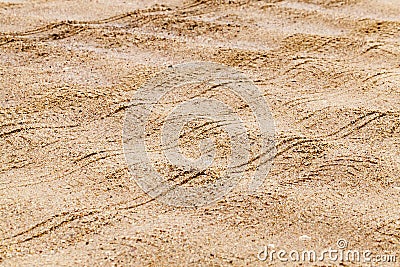 part of a sandy road Stock Photo