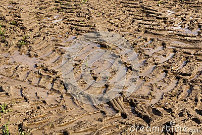 part of a sandy road Stock Photo