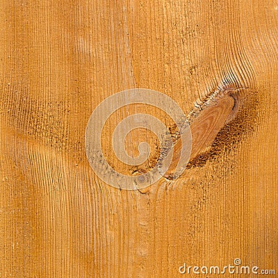 Part of uncolored rough wooden plank with knots. Textured. Stock Photo