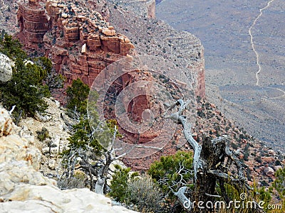 Part view of the Grand Canyon Stock Photo