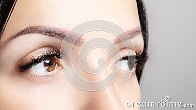 Part of woman`s face with long brown eyelashes and microblading. Female beauty portrait on a gray background. Eyelash extensions, Stock Photo