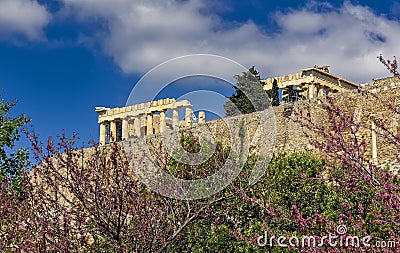 Parthenon ancient temple on acropolis hilll and lilac trees with violet colored flowers. Stock Photo