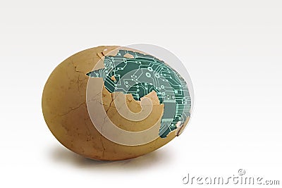 Partially peeled boiled egg. The inner protein with the texture of the circuit board. Stock Photo