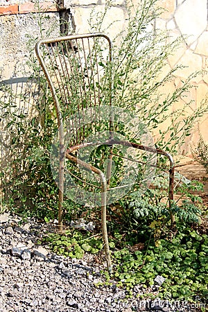 Partially rusted outdoor chair metal frame with missing seat discarded in nature as garbage surrounded with overgrown plants Stock Photo
