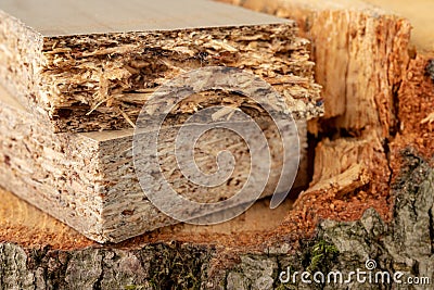 Particleboard on the trunk of raw wood. Materials for carpenters to build furniture Stock Photo