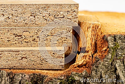 Particleboard on the trunk of raw wood. Materials for carpenters to build furniture Stock Photo