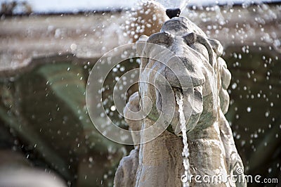 Particular fountain with horses Stock Photo