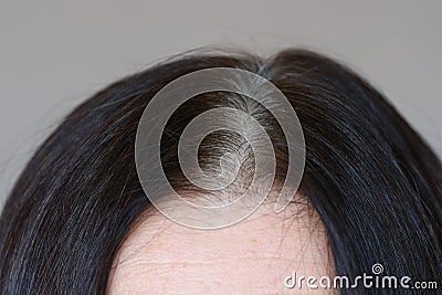 Parting of dark brown wonan`s hair with grey roots, side view, close up Stock Photo