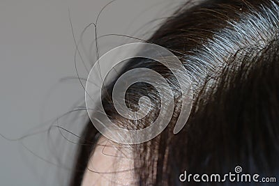 Parting of dark brown wonan`s hair with grey roots, side view, close up Stock Photo