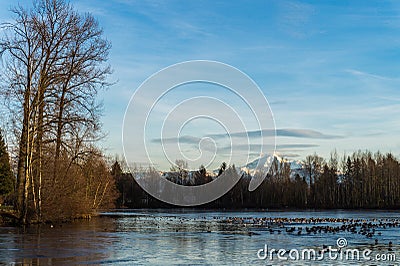 Partly Frozen Urban Lake Stock Photo