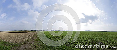 Partly harvested fields until the horizon Stock Photo