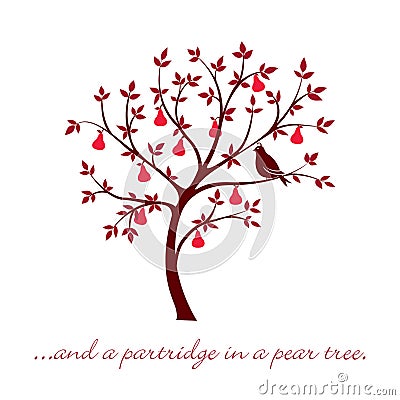 Partridge in a pear tree card Vector Illustration