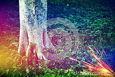 Parts of an old tree with colourful lighting effects photo Stock Photo