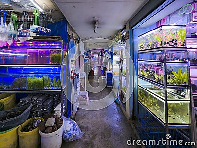 Pasay, Metro Manila, Philippines - Oct 10, 2023: Rows of Aquariums and Fish Pet Stores inside Cartimar Center Editorial Stock Photo
