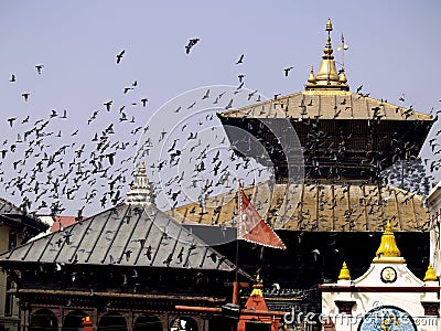 Pashupatinath Temple Editorial Stock Photo