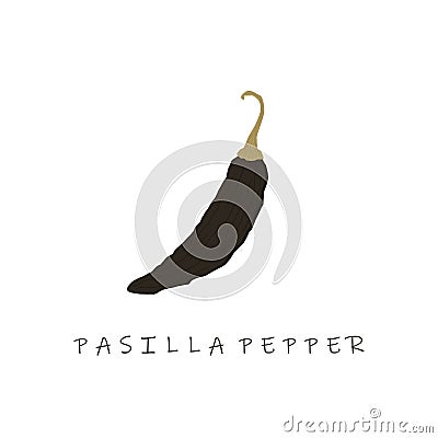 pasilla pepper flat design vector illustration Vector Illustration