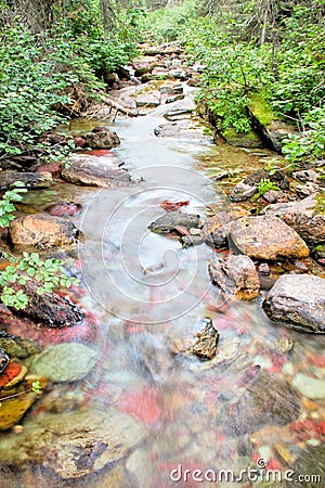 Pass Creek flowing through Glacier National Park Stock Photo