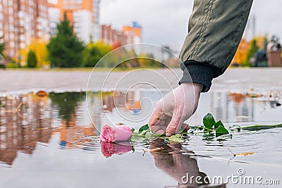 A passer-by picks up a discarded rose from a puddle Stock Photo