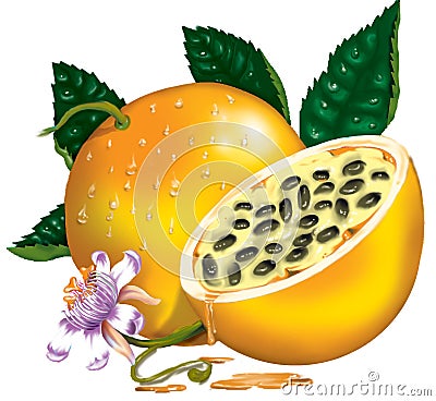 Passion Fruit Stock Photo