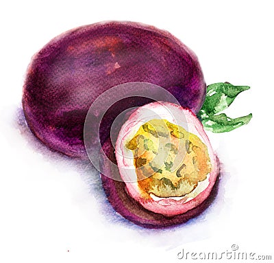 Passion fruit Cartoon Illustration