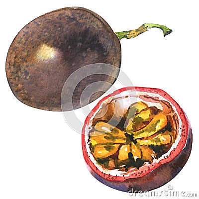 Passion fruit, passionfruit, maraquia, whole and half, slice, , watercolor illustration on white Cartoon Illustration