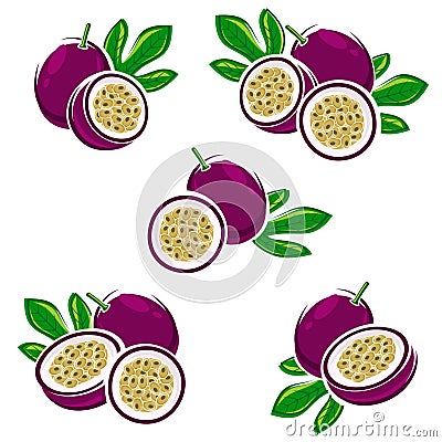 Passion fruit set. Vector Vector Illustration