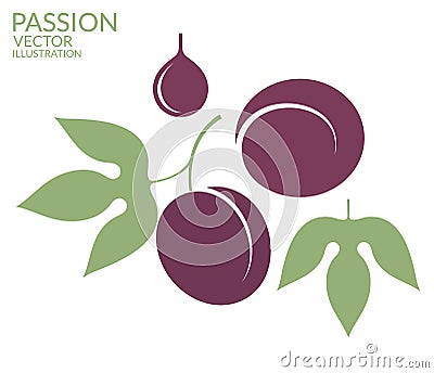 Passion. Fruit Vector Illustration