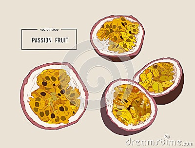 Passion fruit vector illustration Vector Illustration