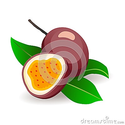 Passionfruits with leaves on white background. Organic exotic fruits, vector illustration in flat style. Tropical detox Vector Illustration